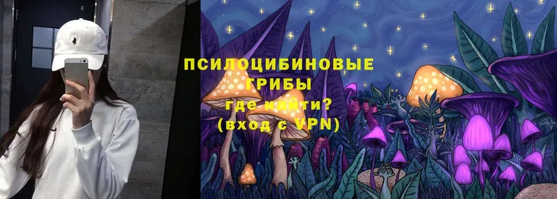 Псилоцибиновые грибы Magic Shrooms  Светлоград 